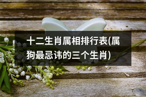 十二生肖属相排行表(属狗忌讳的三个生肖)