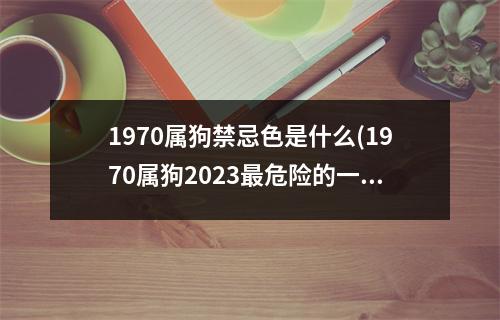 1970属狗禁忌色是什么(1970属狗2023危险的一个月)