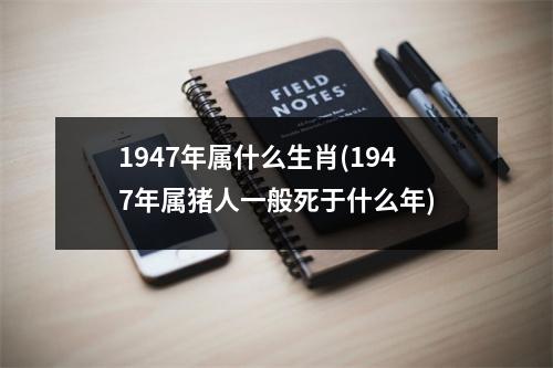 1947年属什么生肖(1947年属猪人一般死于什么年)