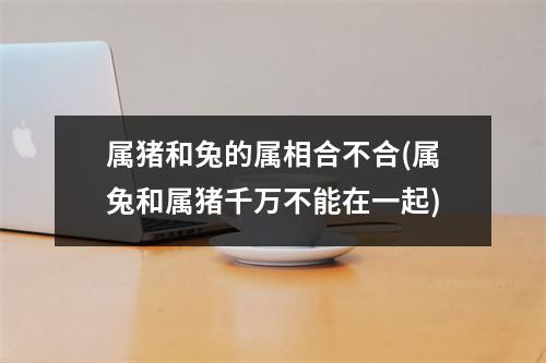 属猪和兔的属相合不合(属兔和属猪千万不能在一起)