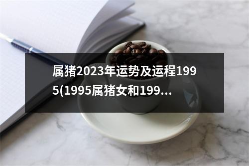 属猪2023年运势及运程1995(1995属猪女和1995属猪男姻缘)