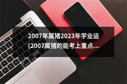 2007年属猪2023年学业运(2007属猪的能考上重点大学吗)