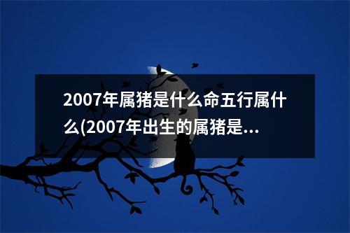 2007年属猪是什么命五行属什么(2007年出生的属猪是什么命)