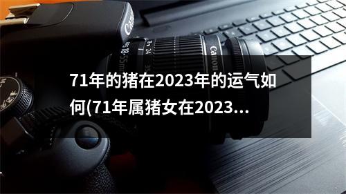 71年的猪在2023年的运气如何(71年属猪女在2023年的三个坎)