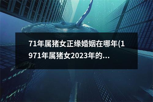 71年属猪女正缘婚姻在哪年(1971年属猪女2023年的桃花运)