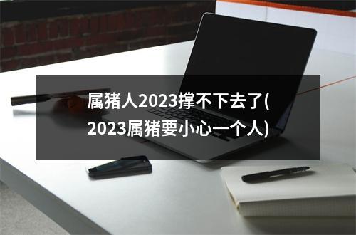 属猪人2023撑不下去了(2023属猪要小心一个人)