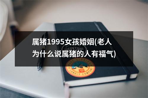 属猪1995女孩婚姻(老人为什么说属猪的人有福气)