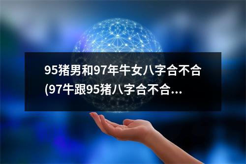 95猪男和97年牛女八字合不合(97牛跟95猪八字合不合)