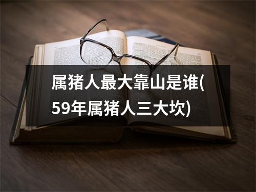 属猪人大靠山是谁(59年属猪人三大坎)