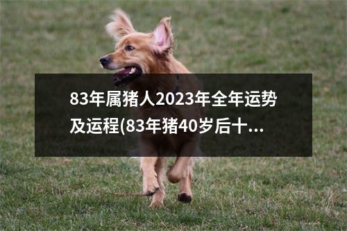 83年属猪人2023年全年运势及运程(83年猪40岁后十年大运运程)