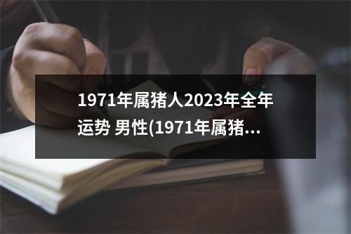 1971年属猪人2023年全年运势 男性(1971年属猪男2023年婚姻如何)