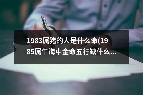 1983属猪的人是什么命(1985属牛海中金命五行缺什么)