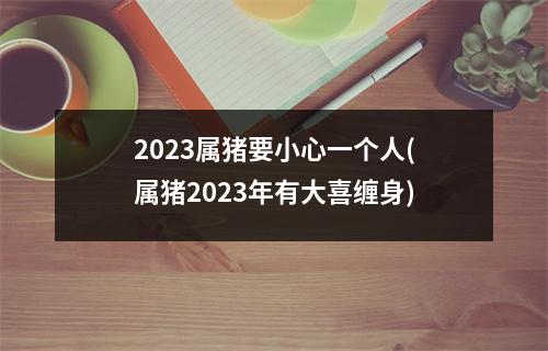 2023属猪要小心一个人(属猪2023年有大喜缠身)