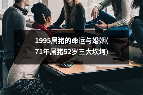 1995属猪的命运与婚姻(71年属猪52岁三大坎坷)