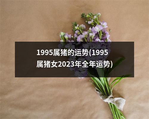 1995属猪的运势(1995属猪女2023年全年运势)