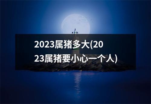 2023属猪多大(2023属猪要小心一个人)