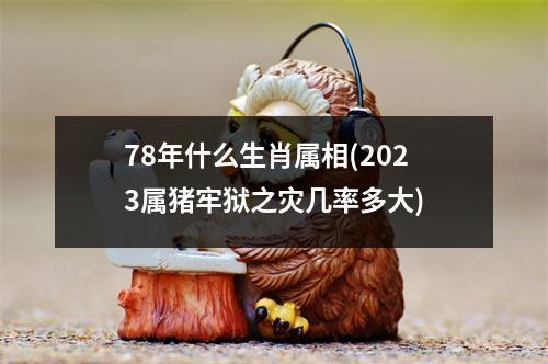 78年什么生肖属相(2023属猪牢狱之灾几率多大)