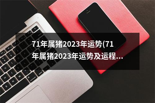 71年属猪2023年运势(71年属猪2023年运势及运程每月运程五月运气)