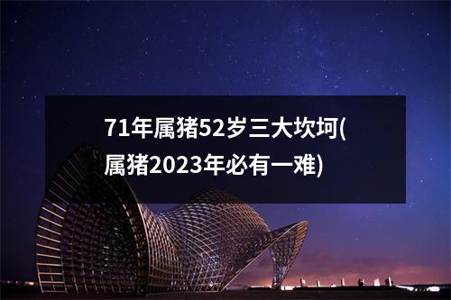 71年属猪52岁三大坎坷(属猪2023年必有一难)