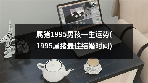 属猪1995男孩一生运势(1995属猪佳结婚时间)