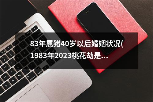 83年属猪40岁以后婚姻状况(1983年2023桃花劫是谁)