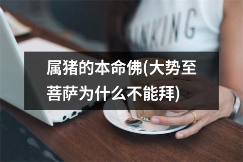 属猪的本命佛(大势至菩萨为什么不能拜)