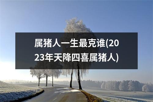 属猪人一生克谁(2023年天降四喜属猪人)