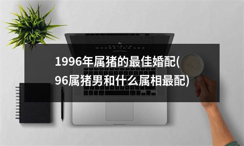 1996年属猪的佳婚配(96属猪男和什么属相配)