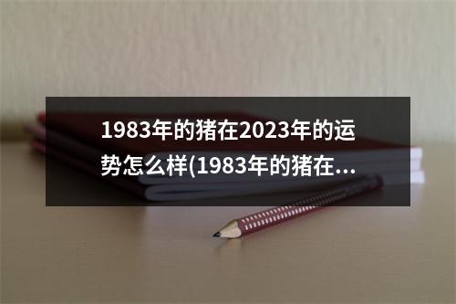 1983年的猪在2023年的运势怎么样(1983年的猪在2023年的运势怎么样,怎么能查阴历生日)