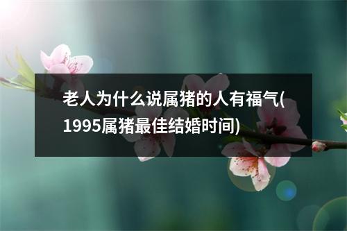 老人为什么说属猪的人有福气(1995属猪佳结婚时间)