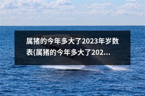 属猪的今年多大了2023年岁数表(属猪的今年多大了2022)