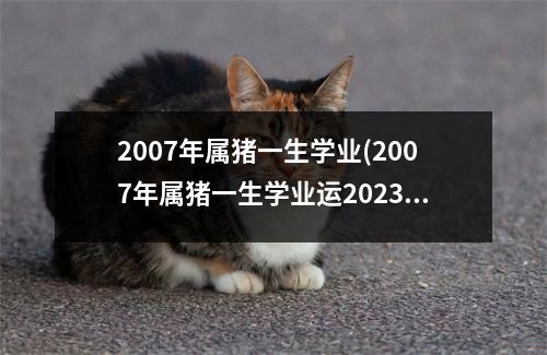 2007年属猪一生学业(2007年属猪一生学业运2023)