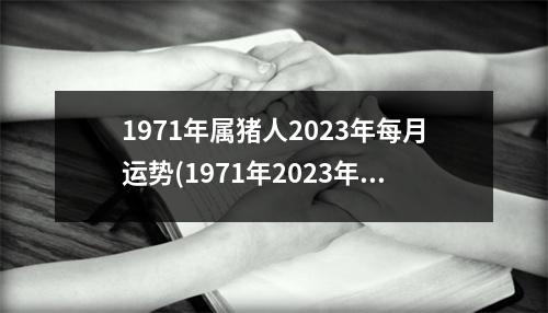 1971年属猪人2023年每月运势(1971年2023年属猪女要出大事)