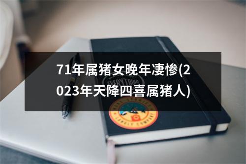 71年属猪女晚年凄惨(2023年天降四喜属猪人)