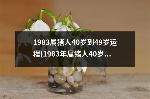 1983属猪人40岁到49岁运程(1983年属猪人40岁到49岁运程)