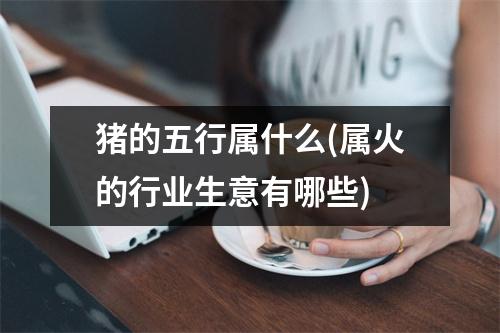 猪的五行属什么(属火的行业生意有哪些)