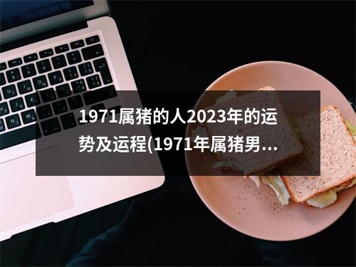 1971属猪的人2023年的运势及运程(1971年属猪男在2023年每月运势)