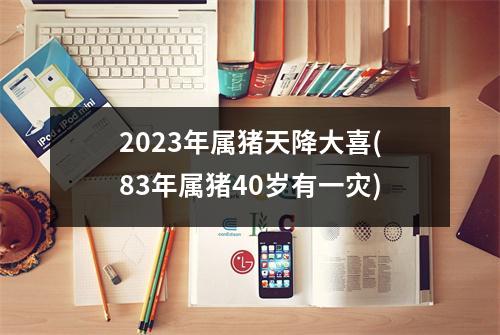 2023年属猪天降大喜(83年属猪40岁有一灾)