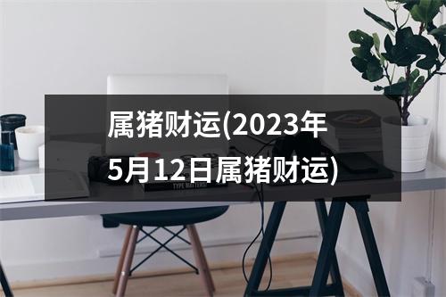 属猪财运(2023年5月12日属猪财运)