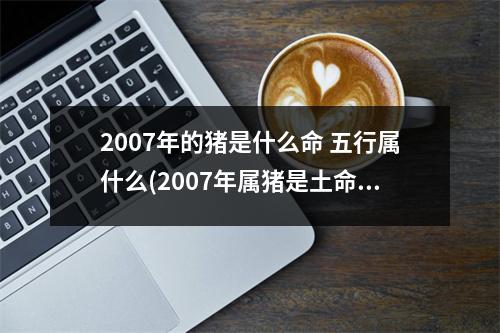 2007年的猪是什么命 五行属什么(2007年属猪是土命还是火命)