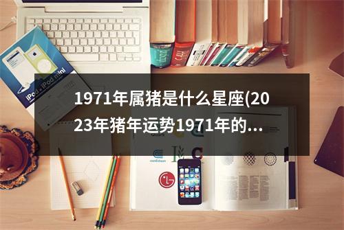 1971年属猪是什么星座(2023年猪年运势1971年的人运势)