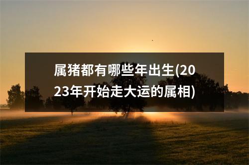 属猪都有哪些年出生(2023年开始走大运的属相)