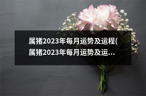 属猪2023年每月运势及运程(属猪2023年每月运势及运程1971年出生)