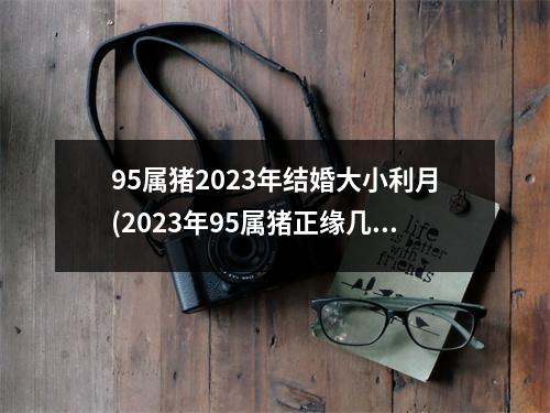 95属猪2023年结婚大小利月(2023年95属猪正缘几月出现)