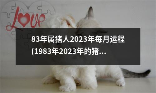 83年属猪人2023年每月运程(1983年2023年的猪是百年难遇)