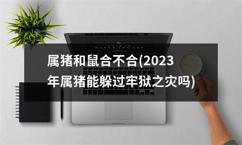 属猪和鼠合不合(2023年属猪能躲过牢狱之灾吗)