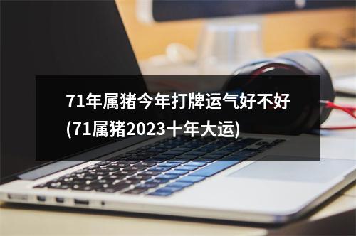 71年属猪今年打牌运气好不好(71属猪2023十年大运)