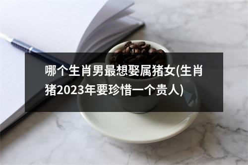 哪个生肖男想娶属猪女(生肖猪2023年要珍惜一个贵人)