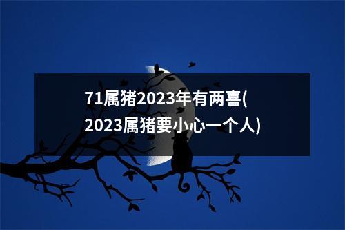 71属猪2023年有两喜(2023属猪要小心一个人)