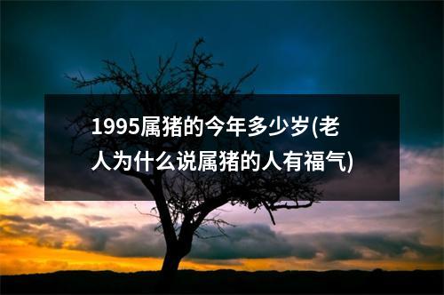 1995属猪的今年多少岁(老人为什么说属猪的人有福气)